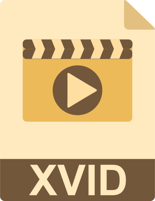 Correct Xvid crash